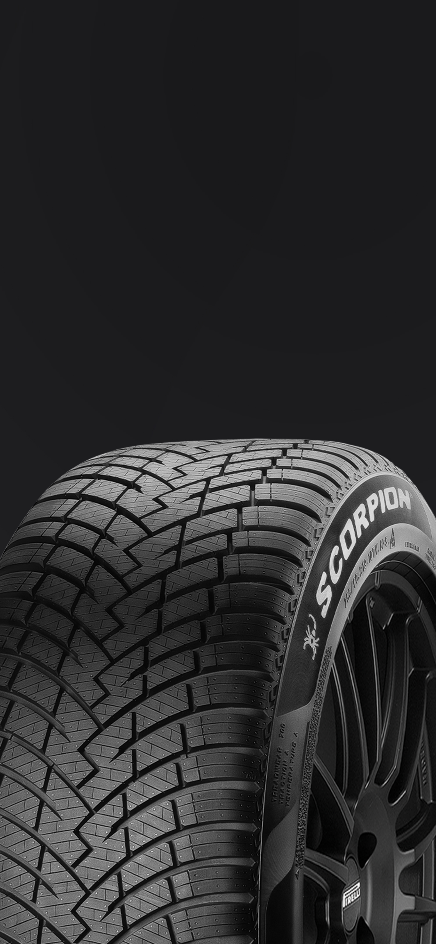 Scorpion tire family: description and features | Pirelli