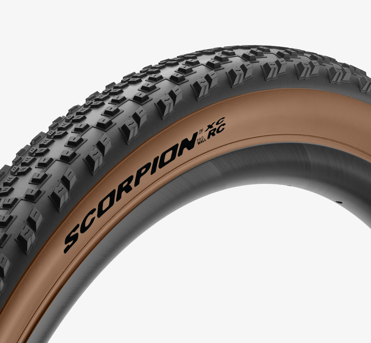 scorpion_xc_rc_race_compound_p